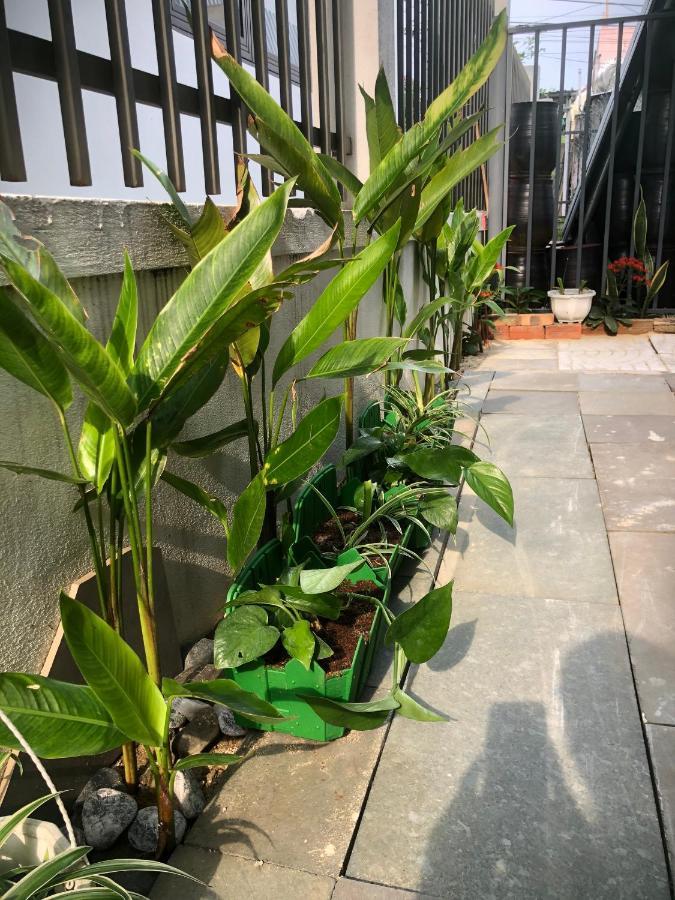 Homestay Phuong House Hoi An Luaran gambar